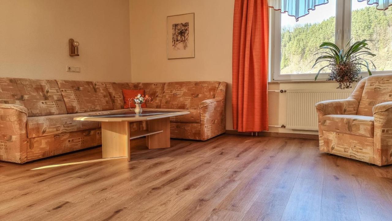 Ferienappartements Elbaussicht - Krippen Bad Schandau Luaran gambar