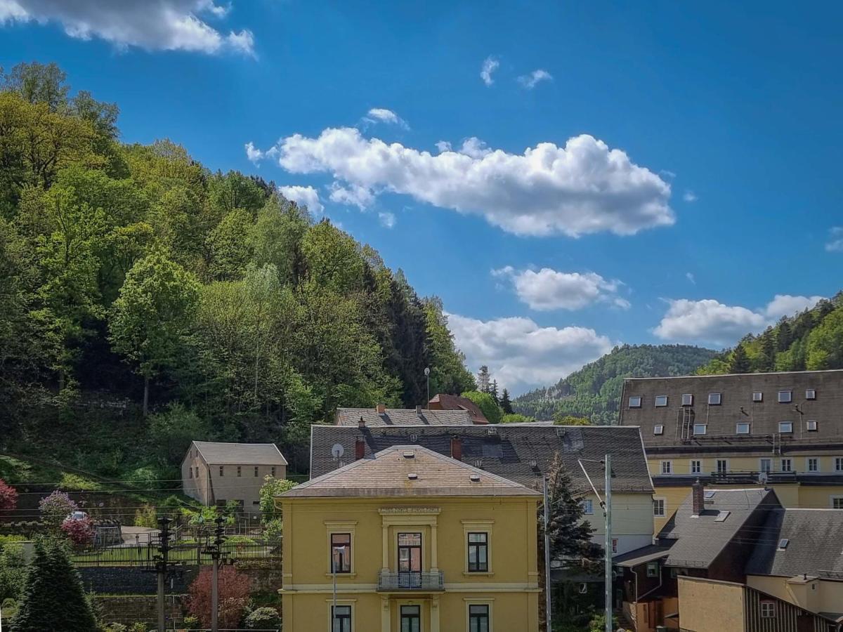 Ferienappartements Elbaussicht - Krippen Bad Schandau Luaran gambar