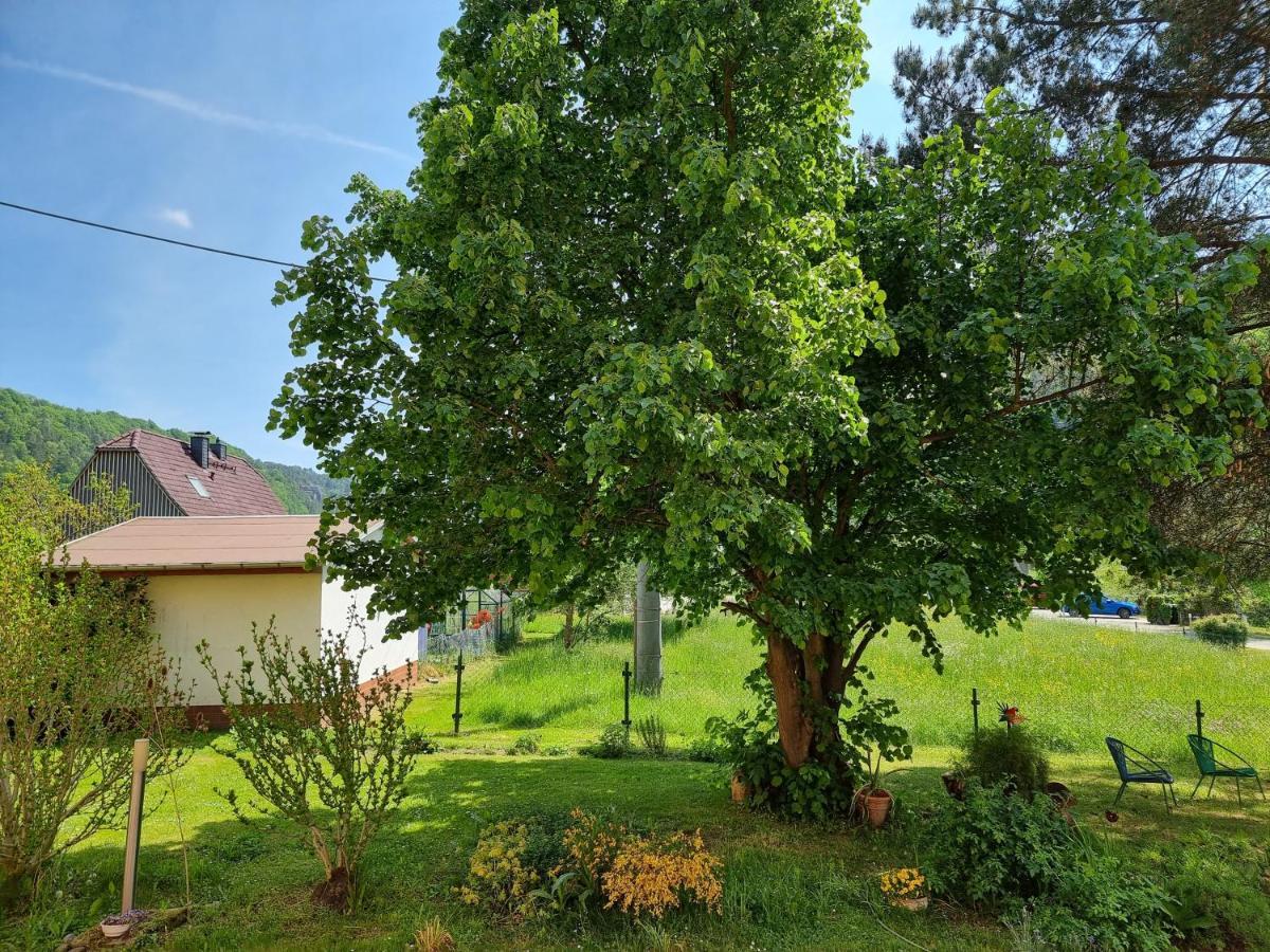 Ferienappartements Elbaussicht - Krippen Bad Schandau Luaran gambar