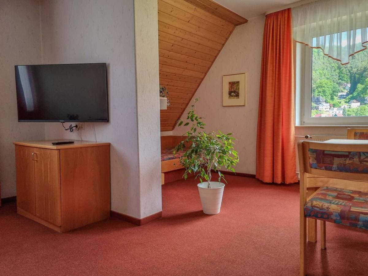 Ferienappartements Elbaussicht - Krippen Bad Schandau Luaran gambar